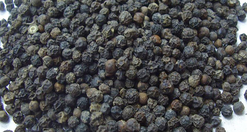 Black Pepper