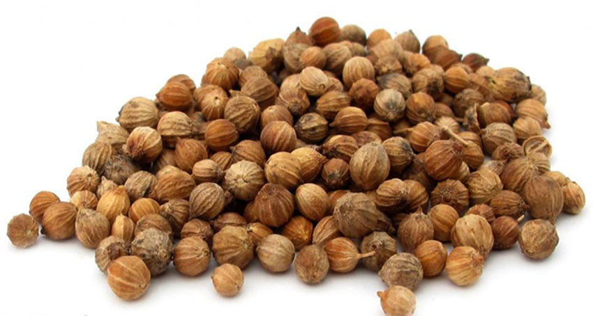 Coriander Seeds