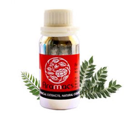 Curry Leaf Extract