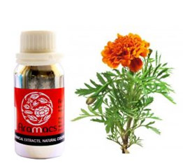 Marigold Extract